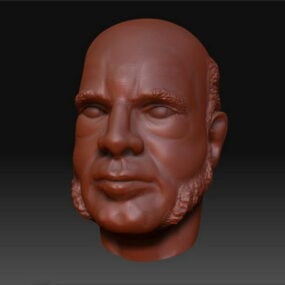 完全なひげの頭のキャラクター 3D モデル