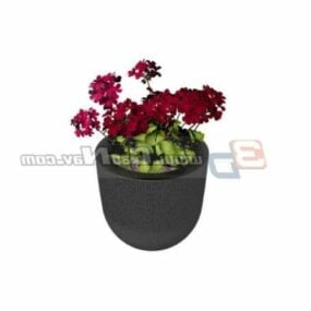Garden Bonsai Flower 3d model