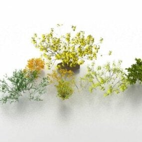 باغچه درختچه ها و بوته ها مدل سه بعدی