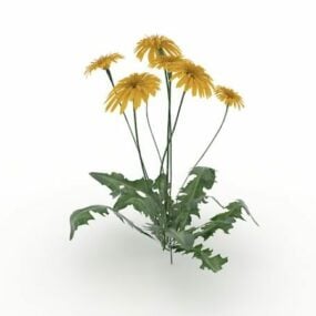 3д модель цветочного растения гербера