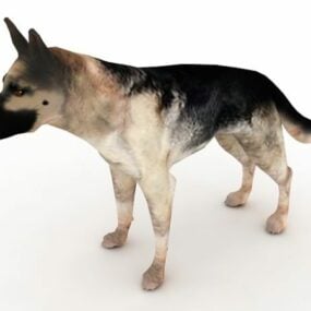 German Shepard Dog Animal 3d model