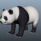 Большая панда