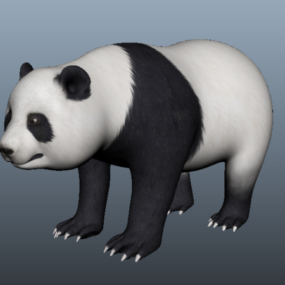 Modello 3d del panda gigante