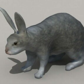 Giant Rabbit 3d-modell