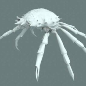 3д модель гигантского краба-паука