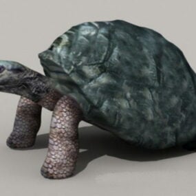 3D model obří želvy