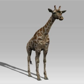 Động vật hươu cao cổ Rigged mô hình 3d