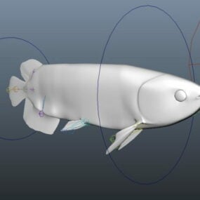 Guld Arowana Fish Rig 3d-modell