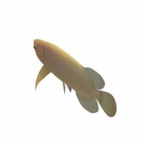Kultainen Arowana Fish 3d-malli
