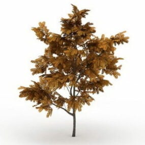 Golden Ash Tree 3d-modell