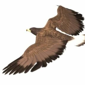 Τρισδιάστατο μοντέλο Animal Golden Eagle