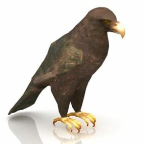 Aigle royal oiseau animal modèle 3D