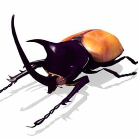 דגם תלת מימד של חיפושית אייל הזהב