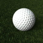 गोल्फ की गेंद