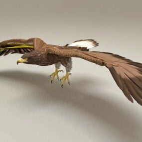 Гошак летить Rigged & Анімована 3d модель