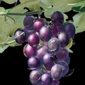 Vid de uva con fruta modelo 3d