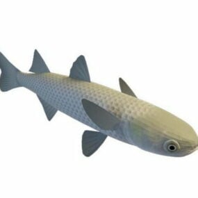 Model 3d Haiwan Ikan Carp Rumput
