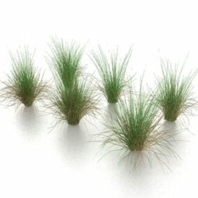 Grass Weeds 3d model
