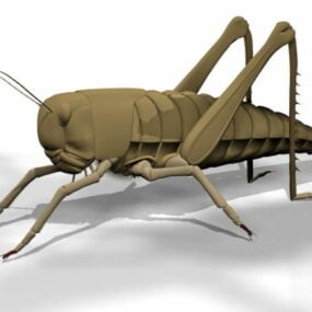 蚱蜢昆虫3d模型