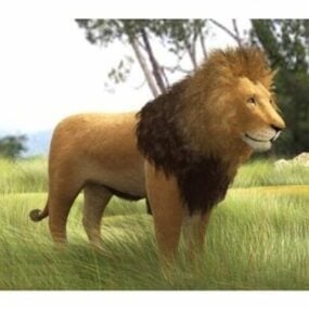 Mô hình 3d động vật sư tử đồng cỏ