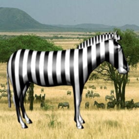 3д модель пастбищной зебры