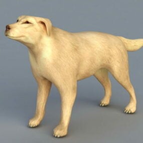 グレートデーン犬3Dモデル