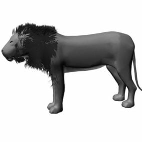 Największy model lwa płci męskiej 3D