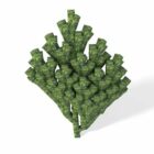 Zielony koral Acropora