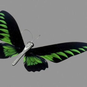 نموذج الفراشة الخضراء ثلاثي الأبعاد