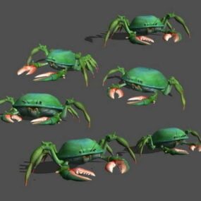Green Crab 3d model
