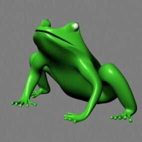 דגם תלת מימד של צפרדע ירוקה