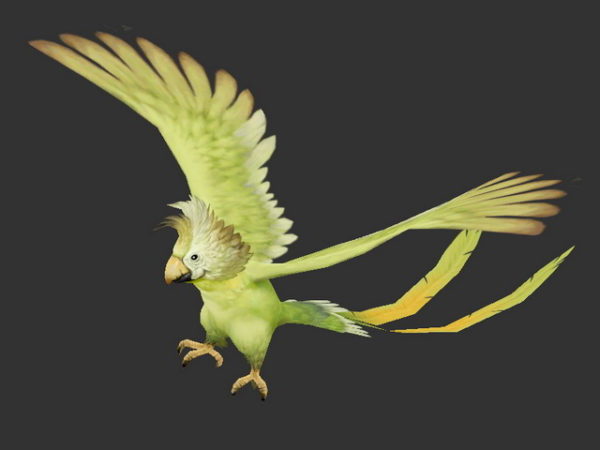 Grüner Quäker-Papagei