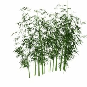 Green Bamboo Forest 3d model