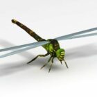 Зеленая стрекоза животных