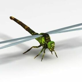 Modelo 3d de animal libélula verde