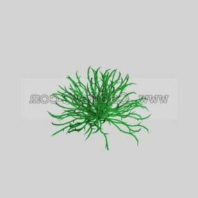 Model 3d Potted Grass Plant Square