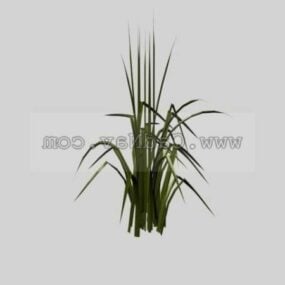 3D model pšeničné trávy