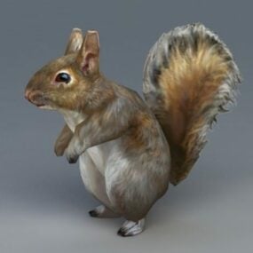 Graues Eichhörnchen 3D-Modell