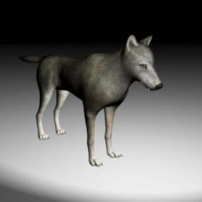 Loup gris modèle 3D
