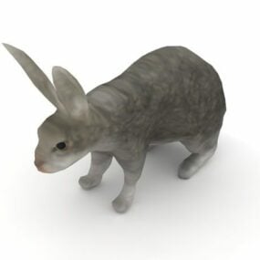 Modello 3d animale coniglio grigio