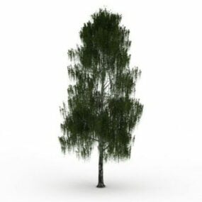 Graues Weidenbaum-3D-Modell
