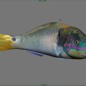 그루퍼 물고기 3d 모델