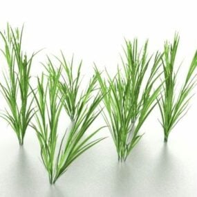 مدل سه بعدی گلدانی مربعی گیاه چمن
