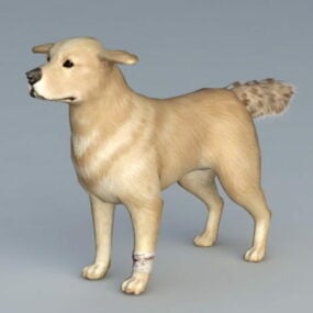 Blindenhund 3D-Modell