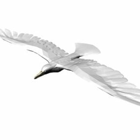 Model 3d Terbang Burung Camar Haiwan