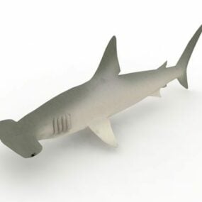 귀상어 상어 바다 동물 3d 모델