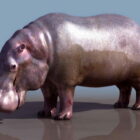 Hippopotamus liar