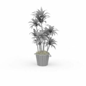 House Plant Trees 3d-modell