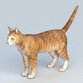 Modello 3d del gatto domestico domestico