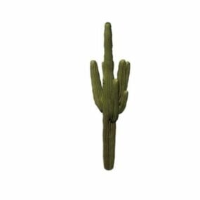 Énorme cactus modèle 3D